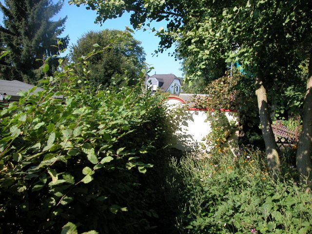 Hecke vorher