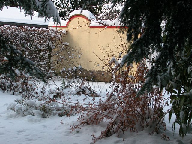 Der Garten im Schnee