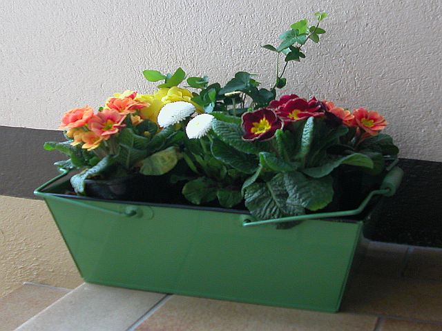 Blumenkübel