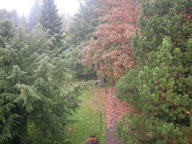 trübes Wetter