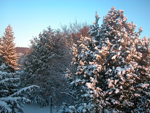 Neuschnee