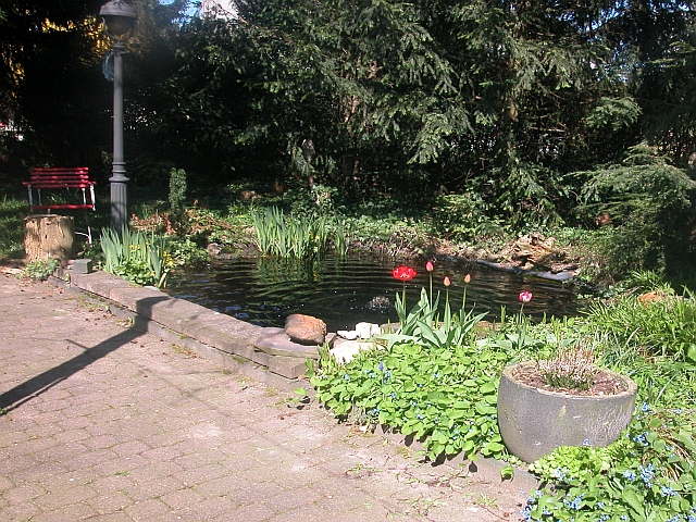 Gartenteich