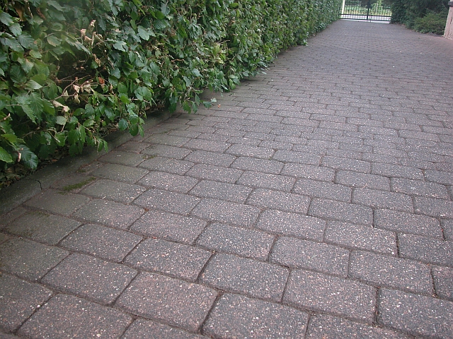 Fugengrün