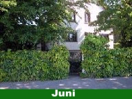 Juni