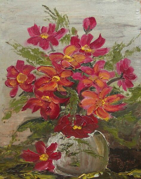 Cosmea