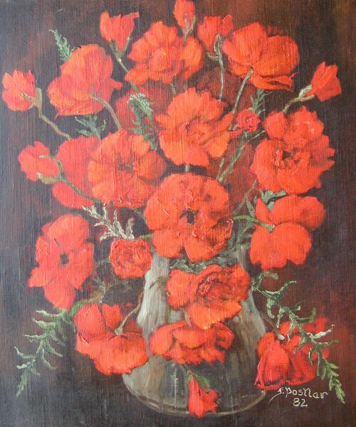 Klatschmohn