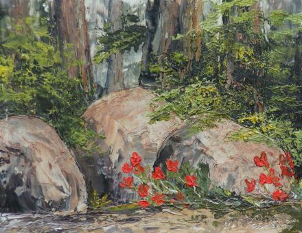 Wilder Mohn